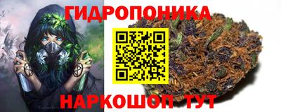 jwh Будённовск