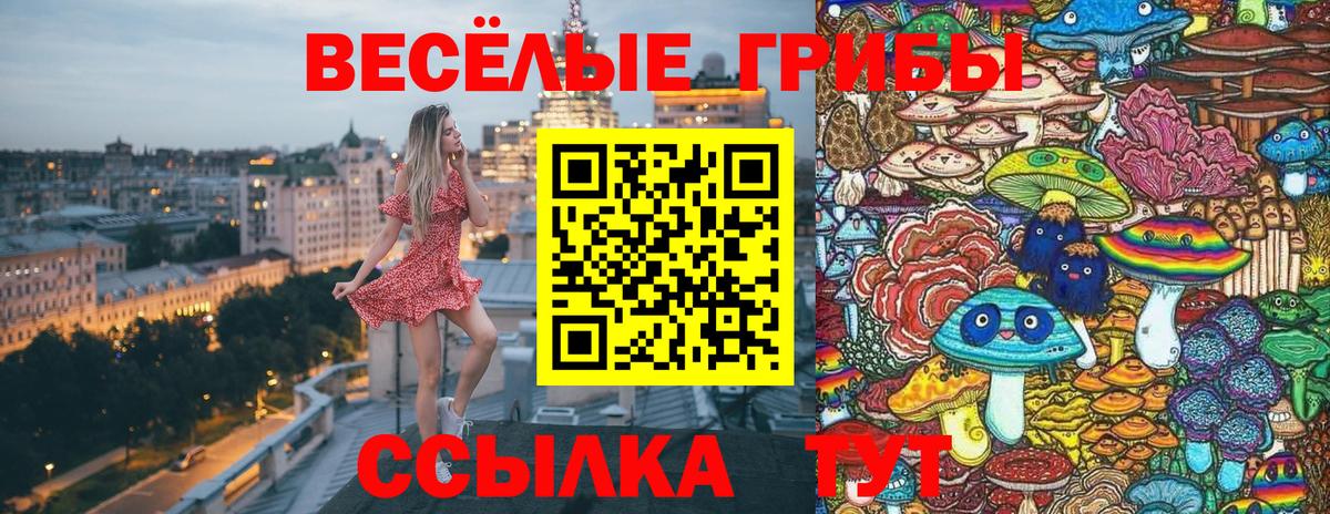 Галлюциногенные грибы Psilocybine cubensis Отрадное