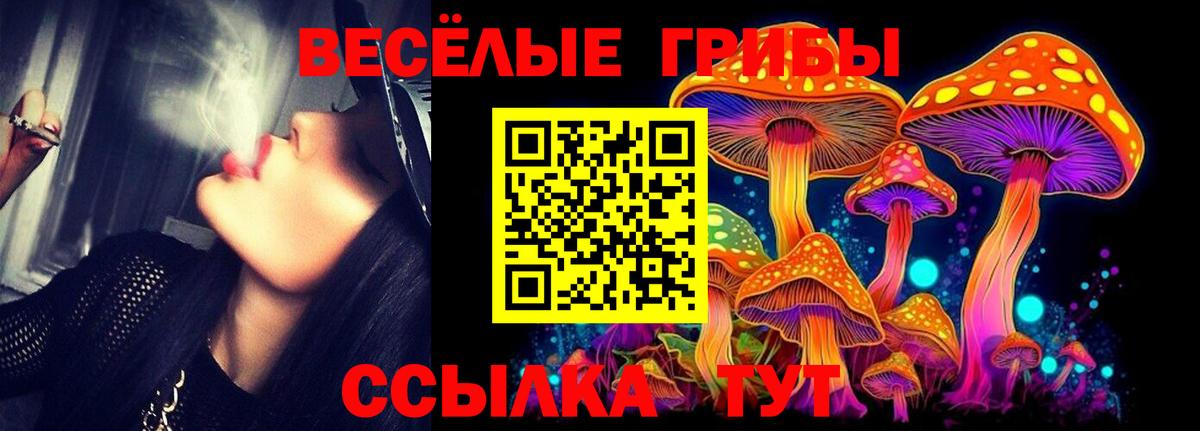 Отрадное  Галлюциногенные грибы Psilocybine cubensis  Вход с VPN 